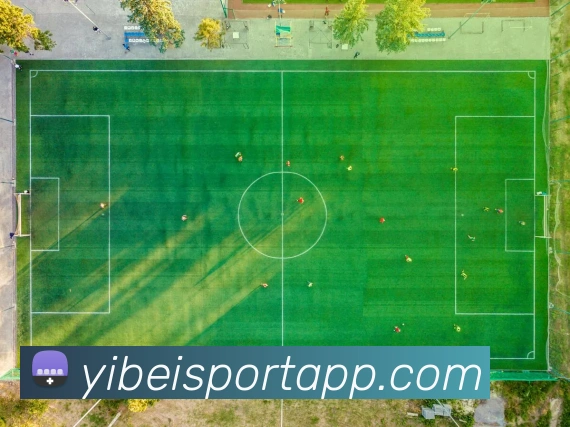 多媒体互动体验