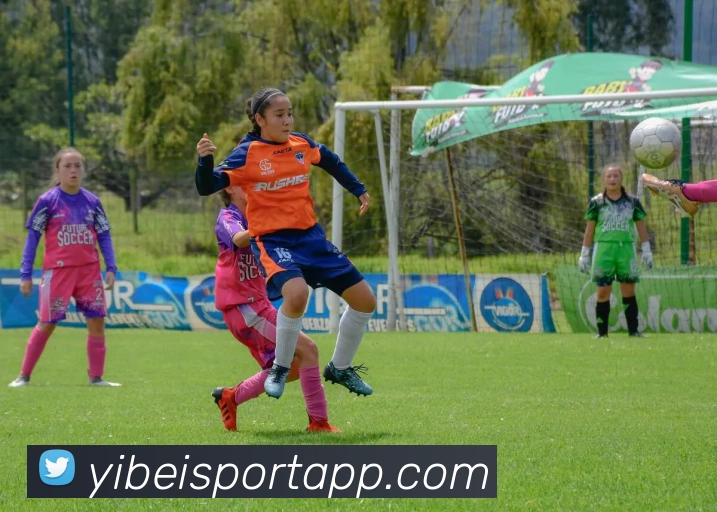 易倍体育APP 高清赛事图